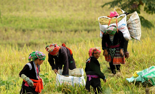 Chính phủ Việt Nam ưu tiên tăng trưởng kinh tế gắn với chăm lo cho người nghèo